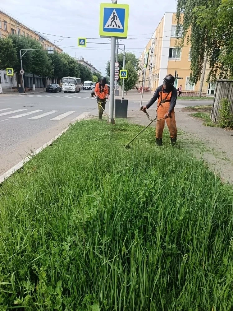 После дождей наблюдается усиленный рост сорной растительности.

Каждый день МКУ "Благоустройство" ос
