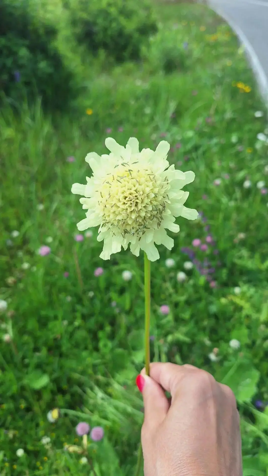 💕 Кавказ нашими глазами