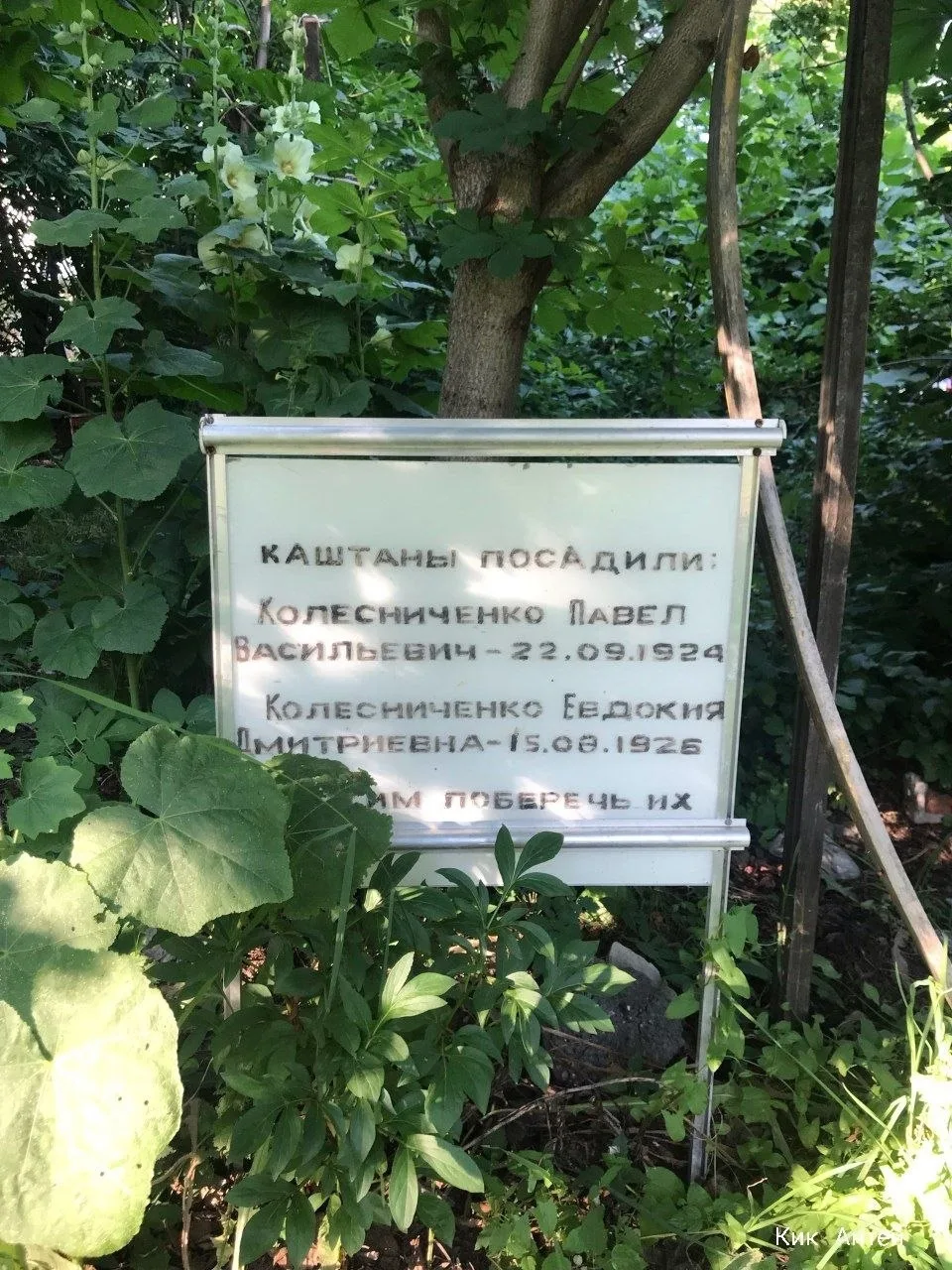 💔 Символ улицы Кирова оказался в запустении