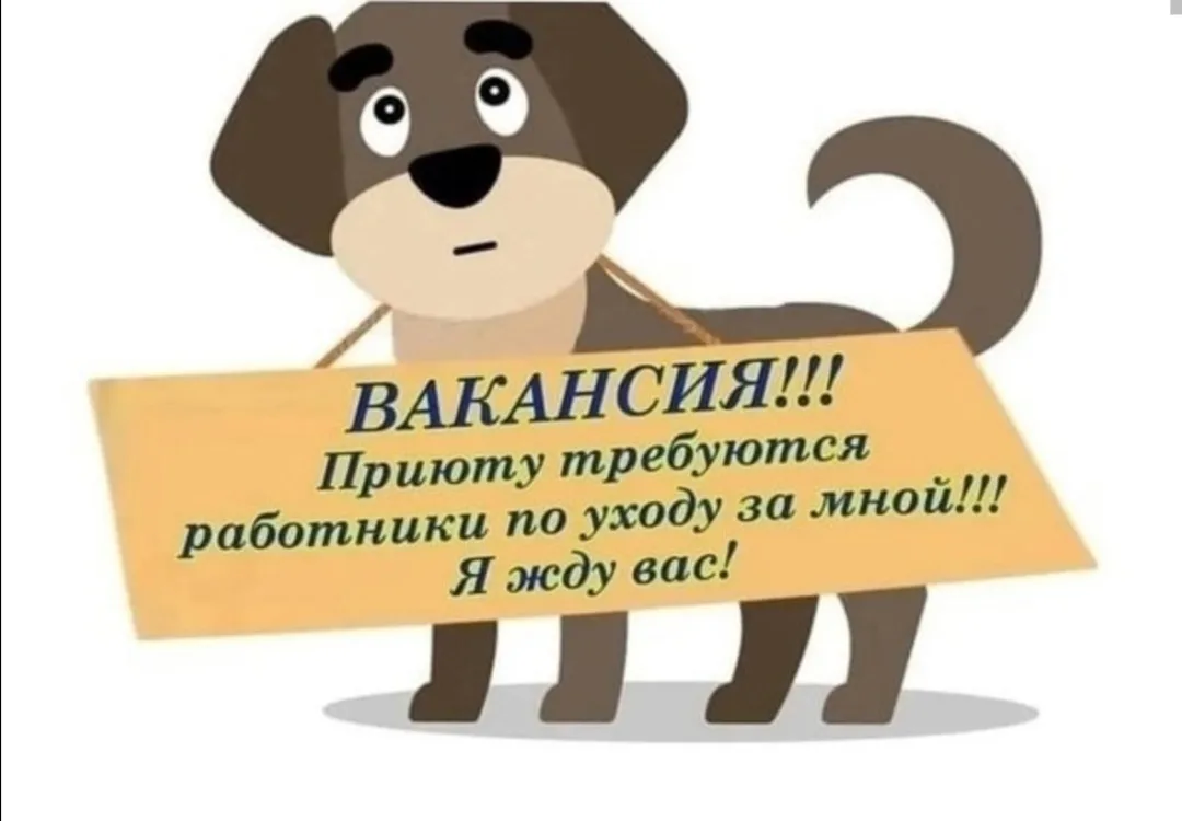Требуются сотрудники по уходу за животными в приют на временную работу (на период отпус...