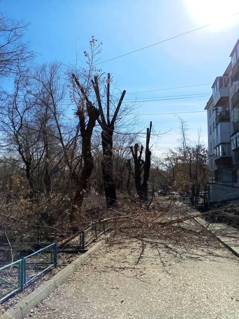 Опиловка продолжается 🍃