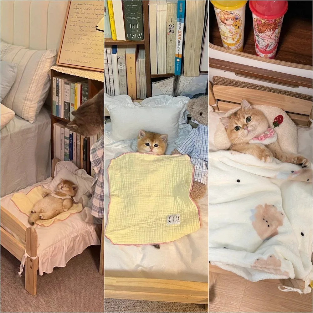 💤 Еще 5 минуток... У всех бывают дни, когда хочется просто полежать и ничего не делать...