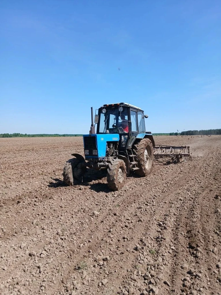 🌾🌾 В Тонкинском муниципальном округе успешно завершён очередной сельскохозяйственный цикл: аграрии