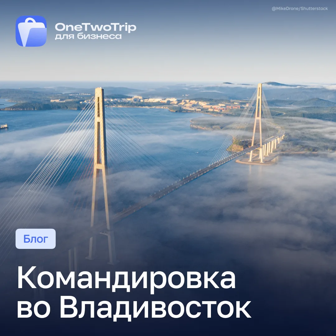 Для тех, кто едет на ВЭФ — и не только ✈️