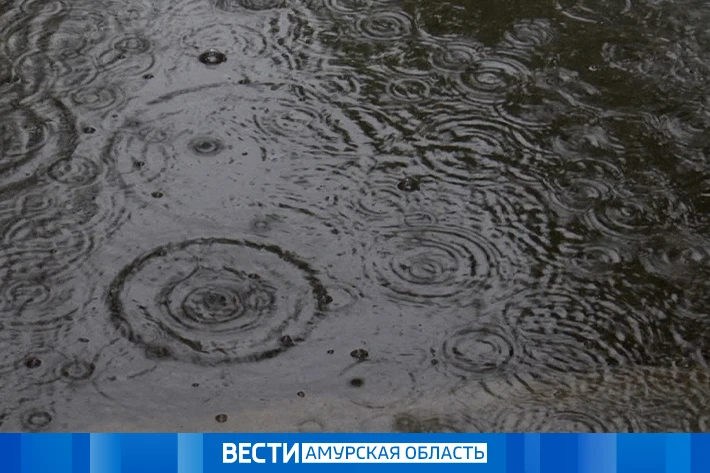 Дождь: прогноз погоды на 20 мая в Приамурье  По области прогнозируется переменная облачность. Местам