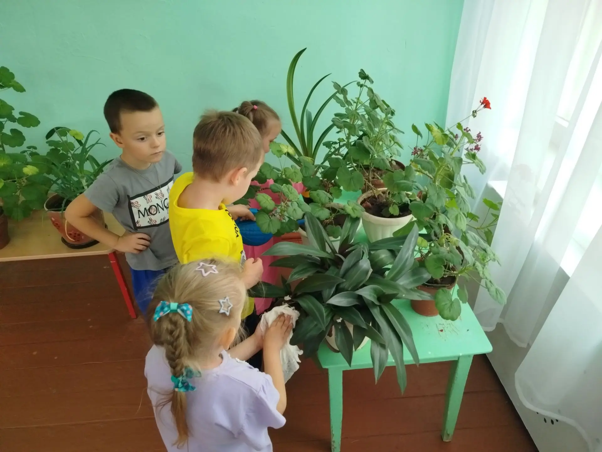 Уход за комнатными цветами.