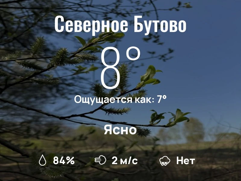 Что с погодой в Северном Бутово?
