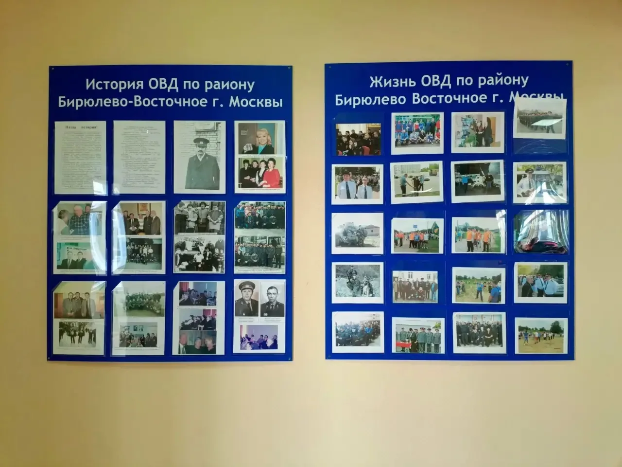 Подержи профессию в руках
