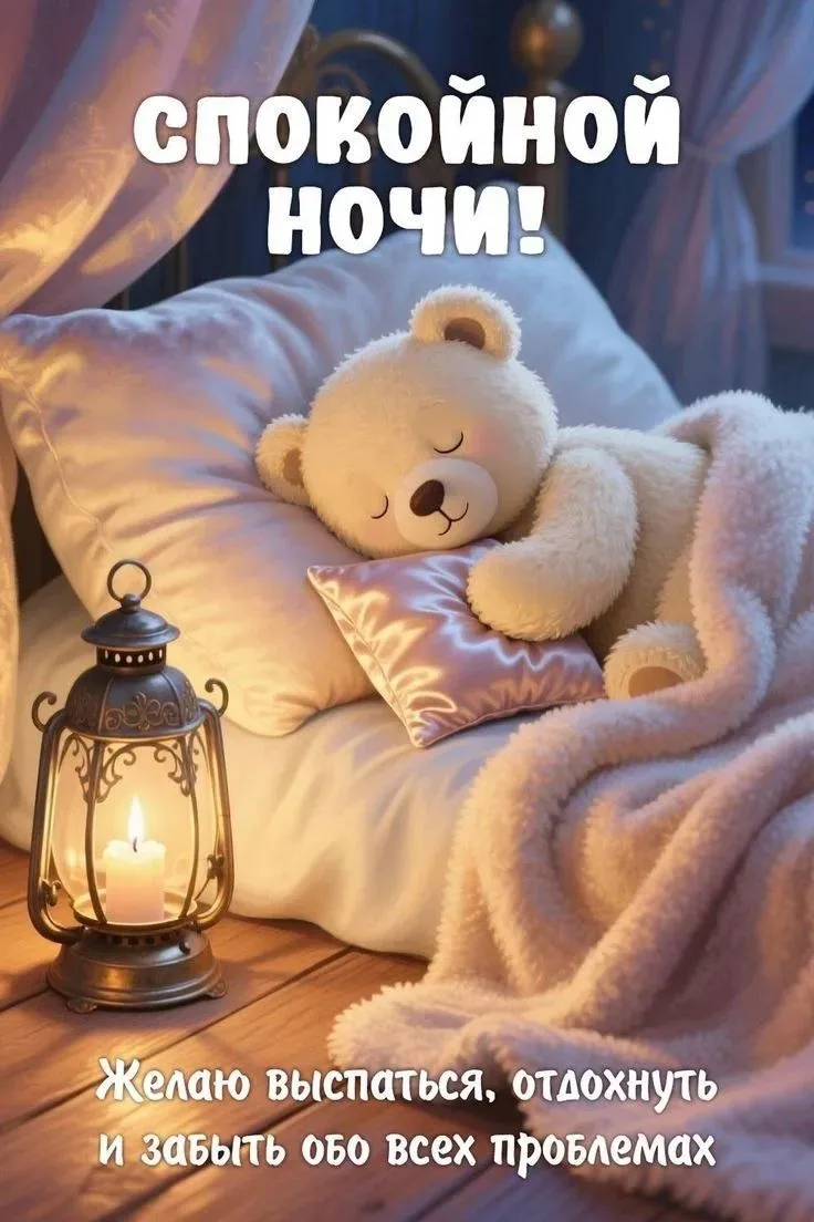 Спокойной ночи, мои дорогие, сладких снов ❤❤❤