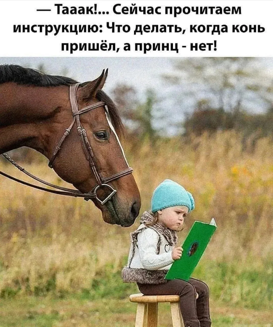 😁Православные тоже шутят - Позитивный канал, с доброй и душевной атмосферой.

Дорогие братья и сест