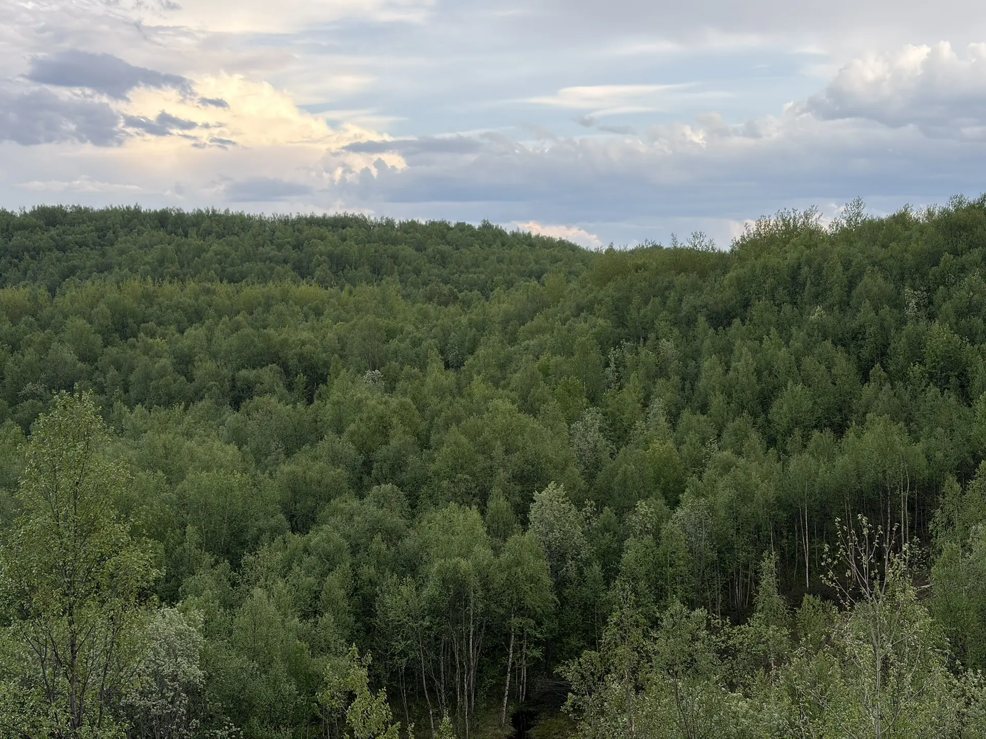 ⚡️ В трёх районах Мурманской области ожидается чрезвычайная пожарная опасность