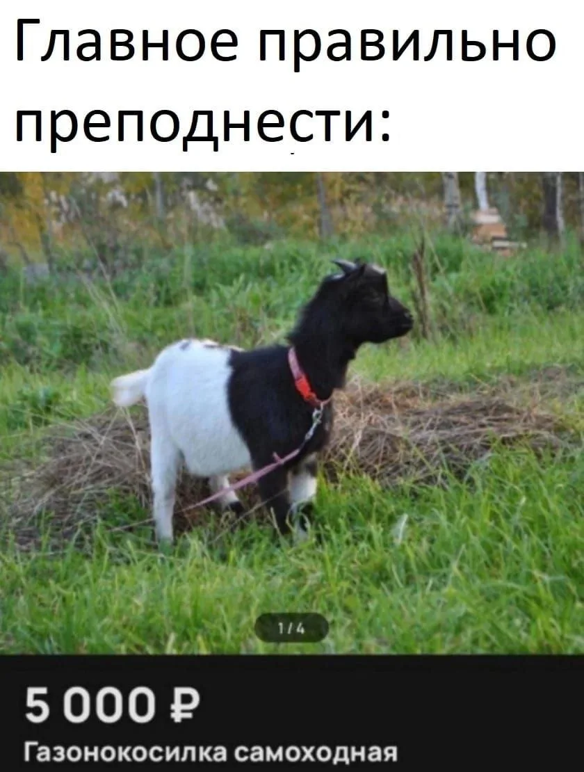 Идеи для дома | Подпишись