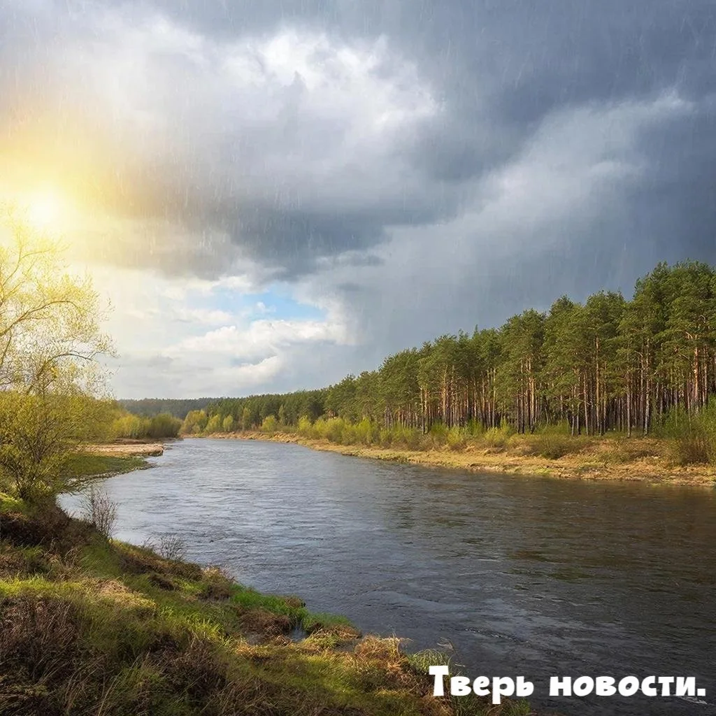 Жителей Верхневолжья на следующей неделе ожидает неоднозначная погода 🌦    Согласно сводке с порта