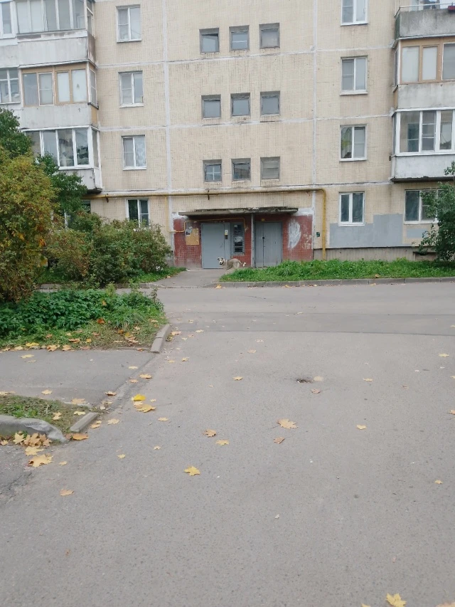 Добрый день.