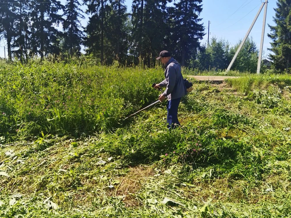 Наводим порядок на территории. ☺  
Скосили  вырасшую траву, а также проводим борьбу    с борщевиком.
