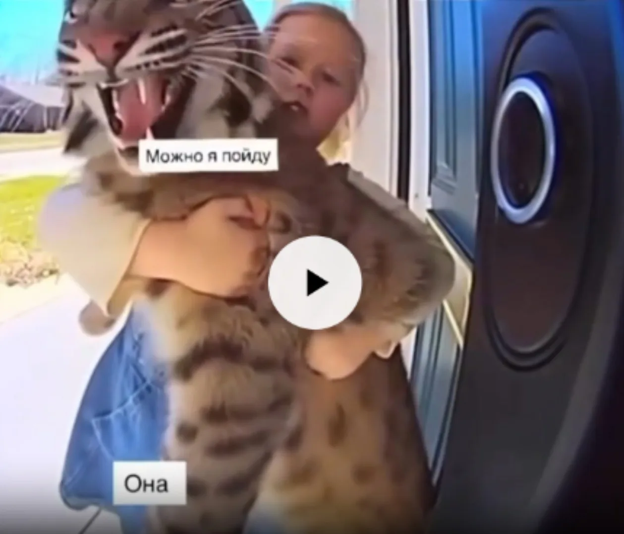 Девочка поймала бездомного котика и принесла его домой. Мама в шоке 😱 это же РЫСЬ!