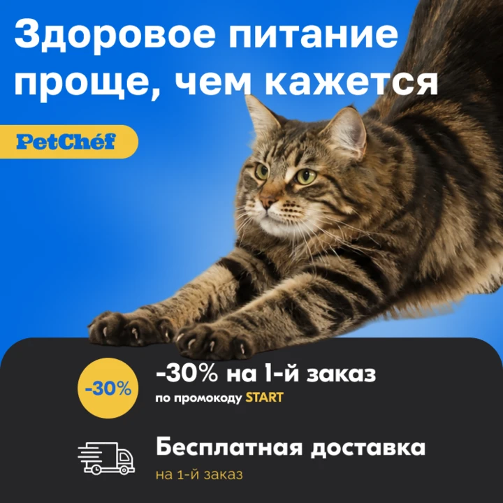 Изображение 1 к публикации «шерстяные проказники • коты»