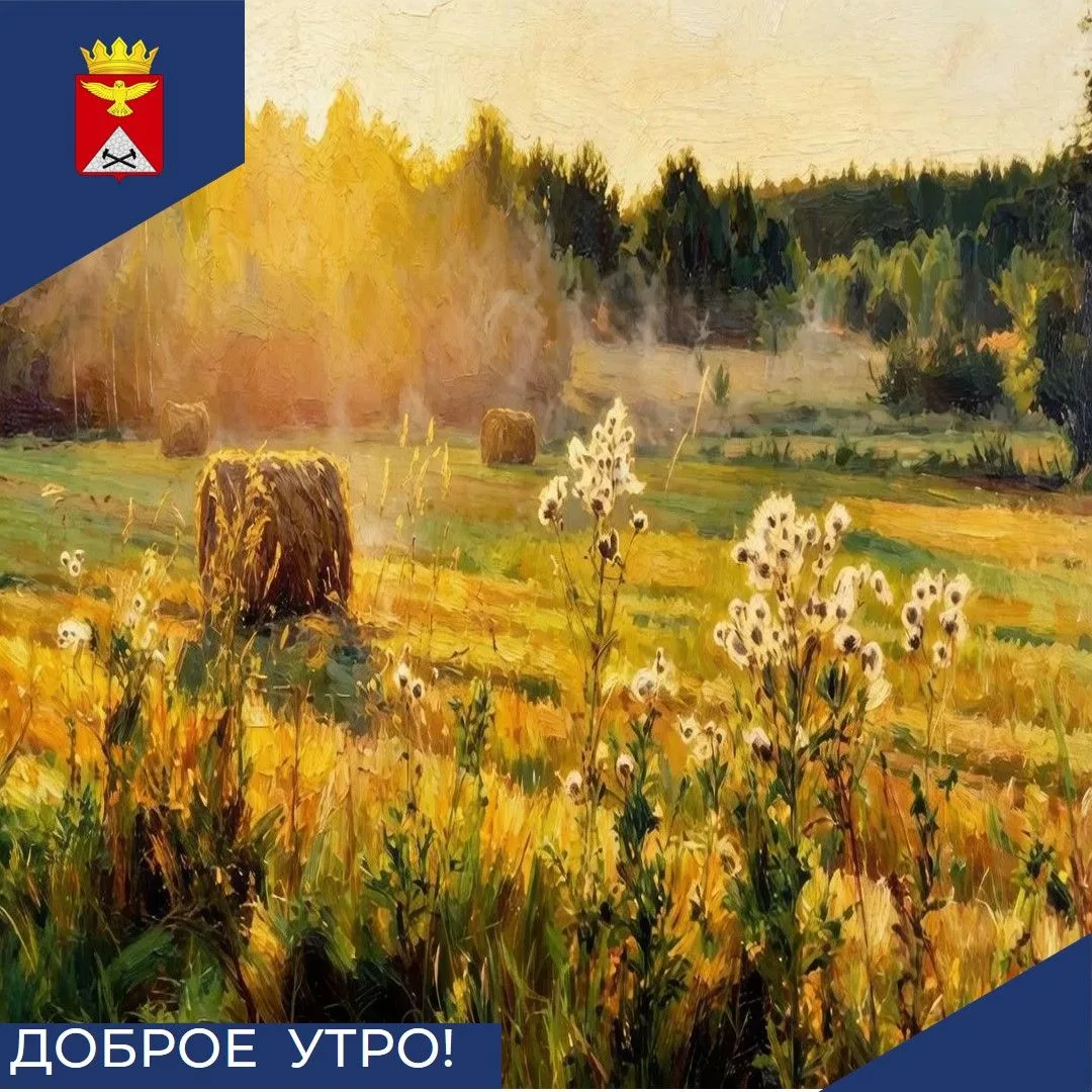 Доброе утро, Юргамышский округ! ☀️Пусть понедельник, 31 августа, начнётся легко и задас...
