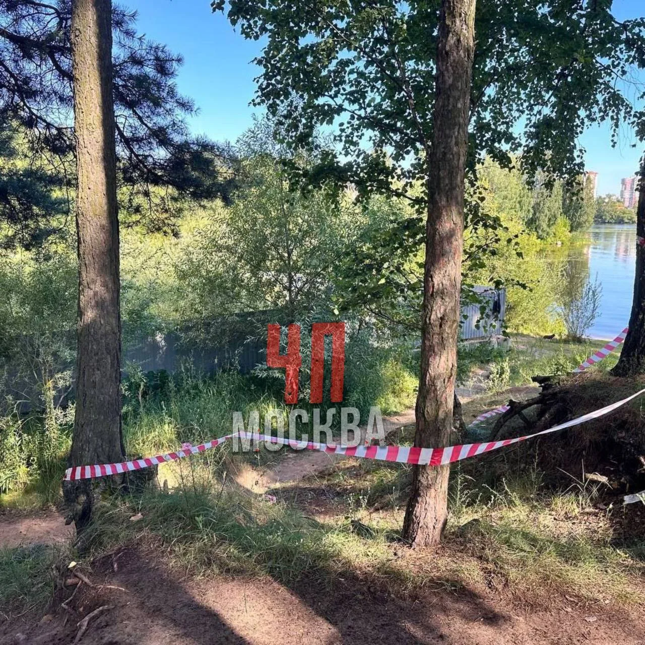 ‼️ 24-летняя девушка была  найдена мертвой в лесу у пляжа недалеко от ЖК Мякинино Парк (ЗАО) 

Тело 