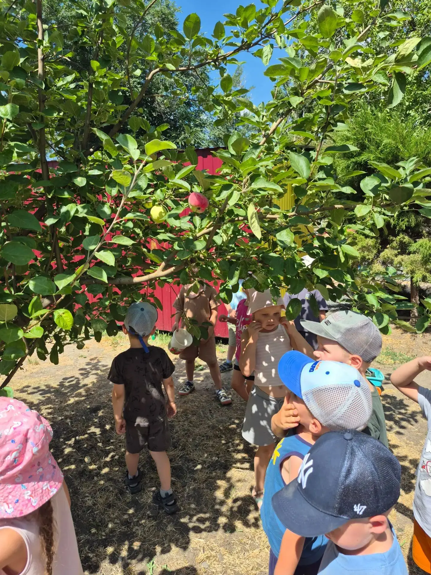 🍎✨ Вот так проходит волшебство у нас в детском саду! Ребята из средней группы "Капельки" отправилис