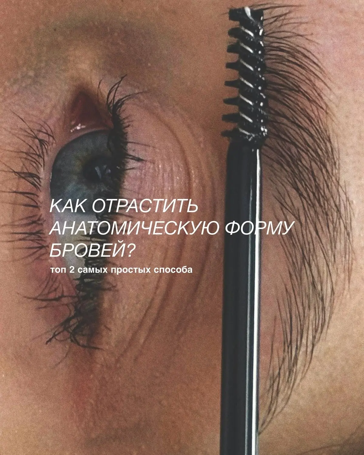 Как отрастить анатомическую форму бровей: топ-2 способа 🩷
