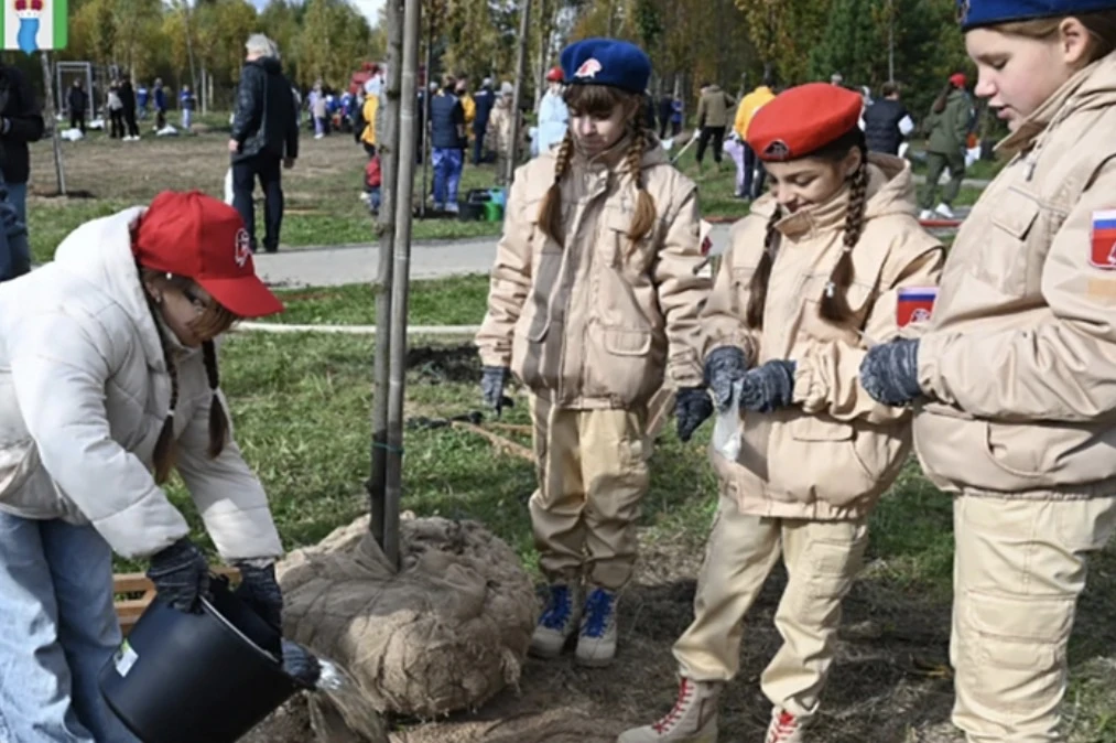 В Тарусе появилась новая аллея из 155 лип🌳