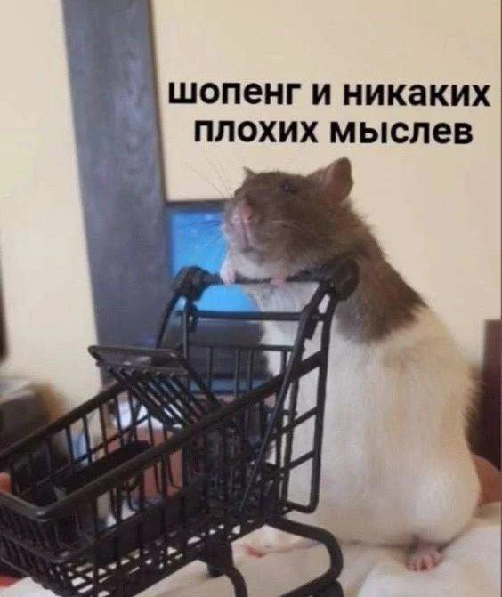 Я оплачиваю корзину на WB в ту же секунду, как мне стало грустно: