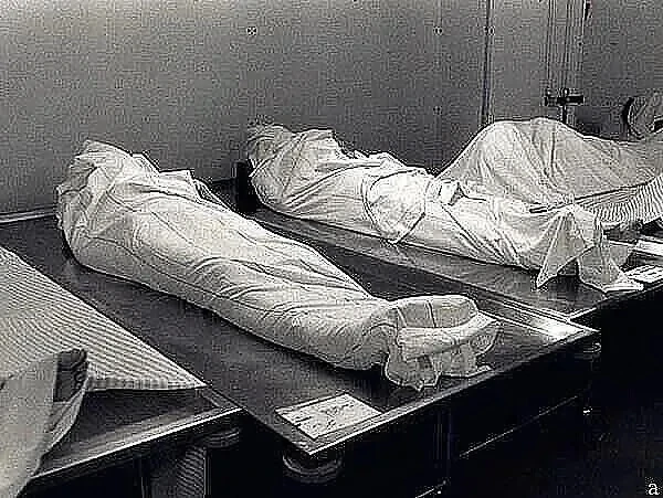 Сестра 

В мистические истории я верила всегда, в детстве мама часто приглашала подруг к нам домой, 