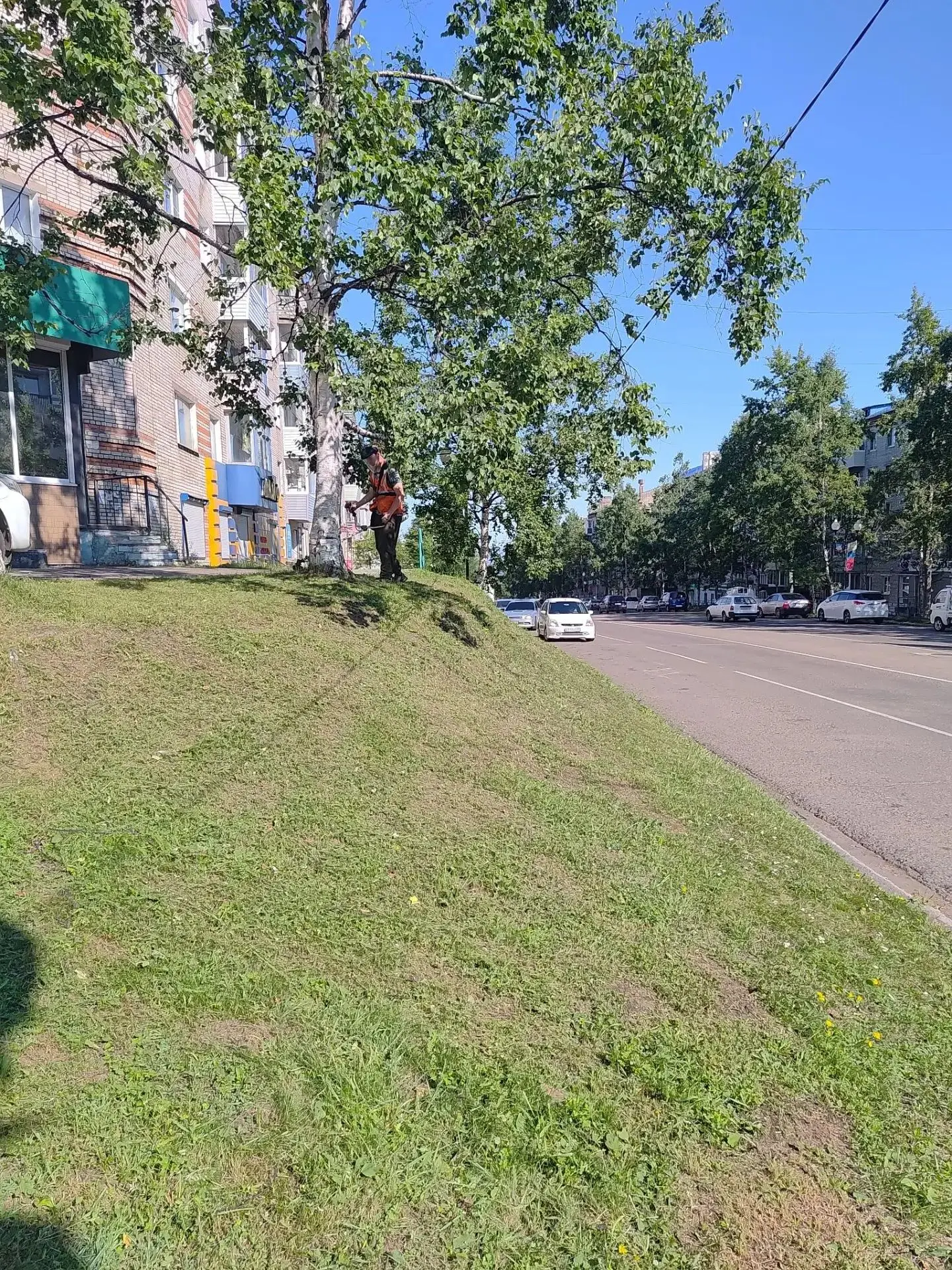 🌿 Благоустройство Ванино продолжается