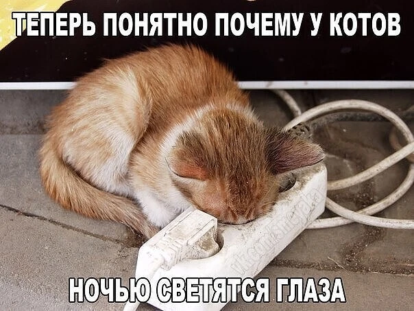 Подпишись на юмор 😂