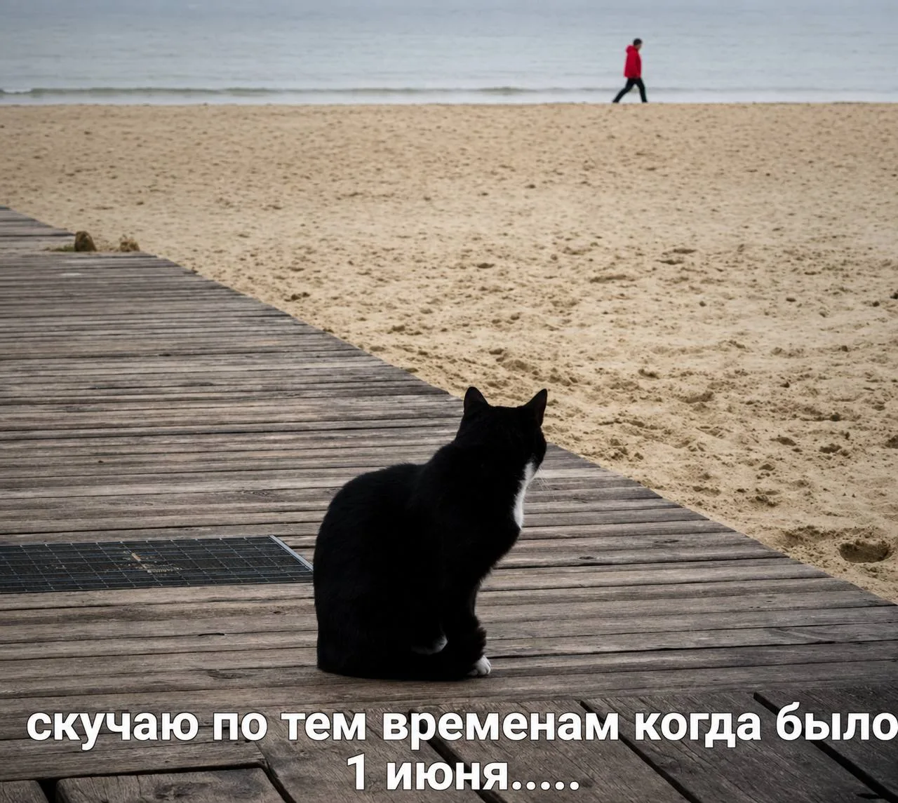 Подпишись на юмор 😂