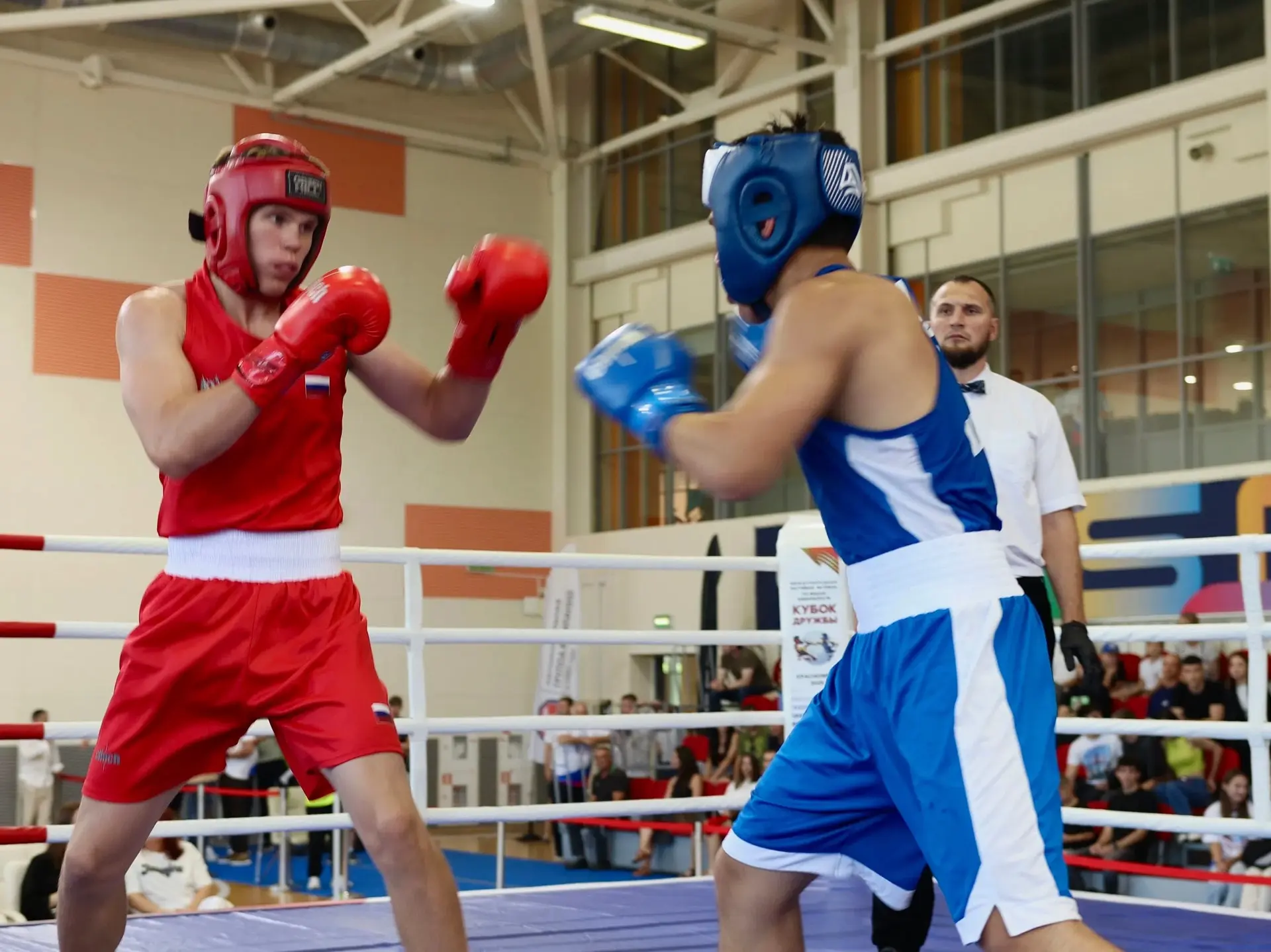 🥊Все на БОКС!