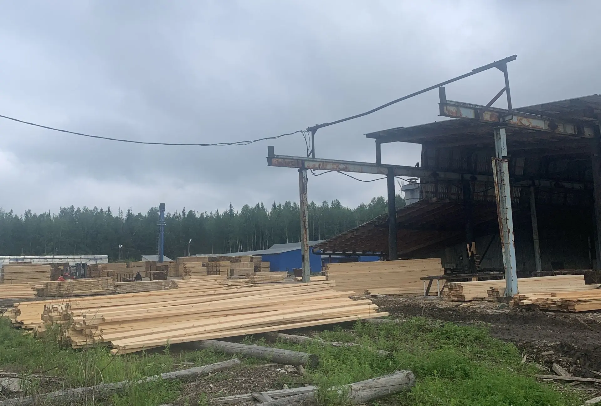 РОССЕЛЬХОЗНАДЗОРОМ ПРОКОНТРОЛИРОВАНО БОЛЕЕ 5 ТЫСЯЧ КУБОМЕТРОВ ДРЕВЕСИНЫ СЕВЕРНЫХ ОКРУГОВ СВЕРДЛОВСКО