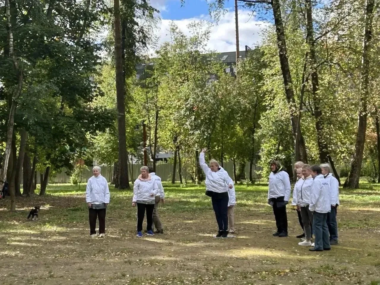 🌳 Петанк в парке — лучшее лекарство от хандры!