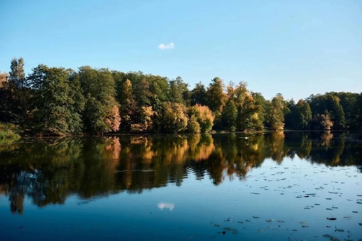 Осень в парке Кузьминки-Люблино 🍂