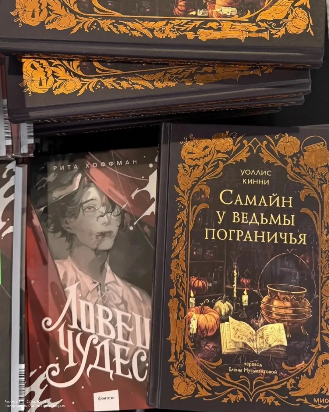Гаражка МИФА в МЕГЕ продолжается📚