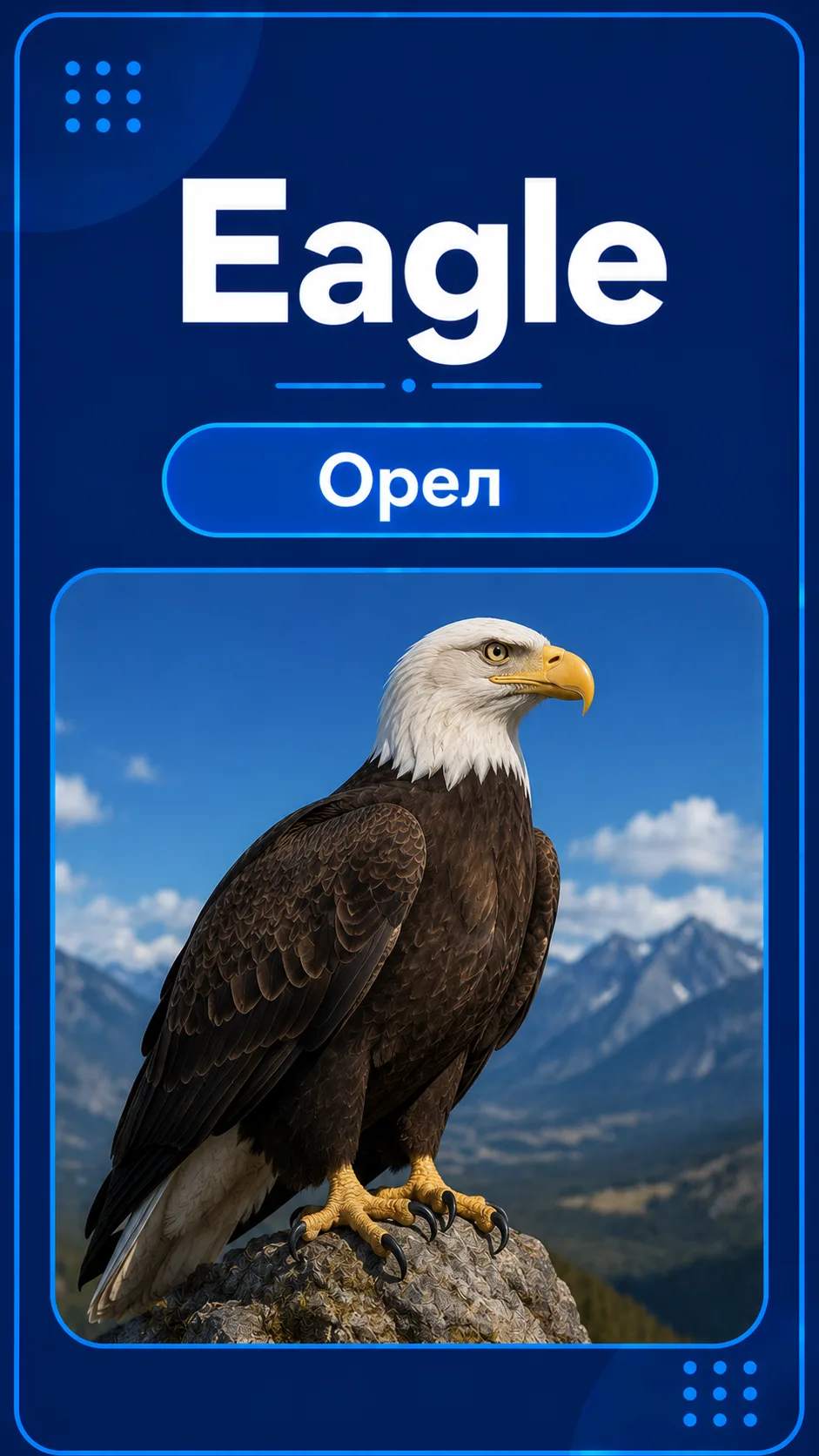 🦅 Eagle — это орёл!
