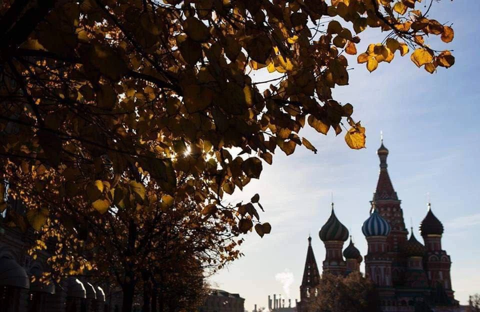 🇷🇺Абонемент для взрослых «Встречи с Покровским собором» (14+)