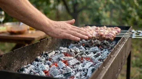 Разрешили жарить шашлыки на природе