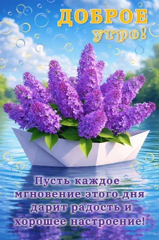 НАШИ КАНАЛЫ: