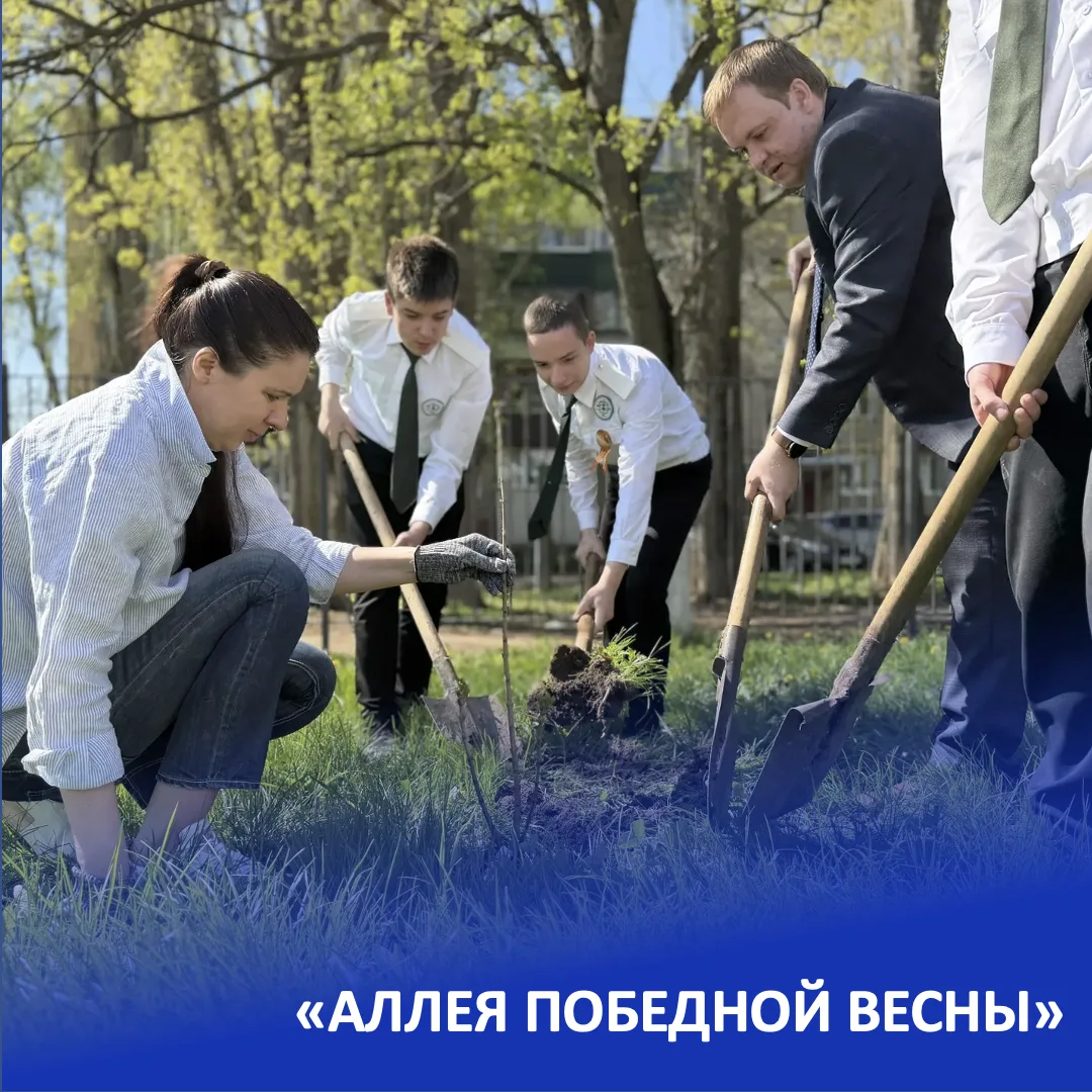 🌿 «Аллея победной весны»: память, воплощённая в зелени 🌿

В преддверии великого праздника — Дня По