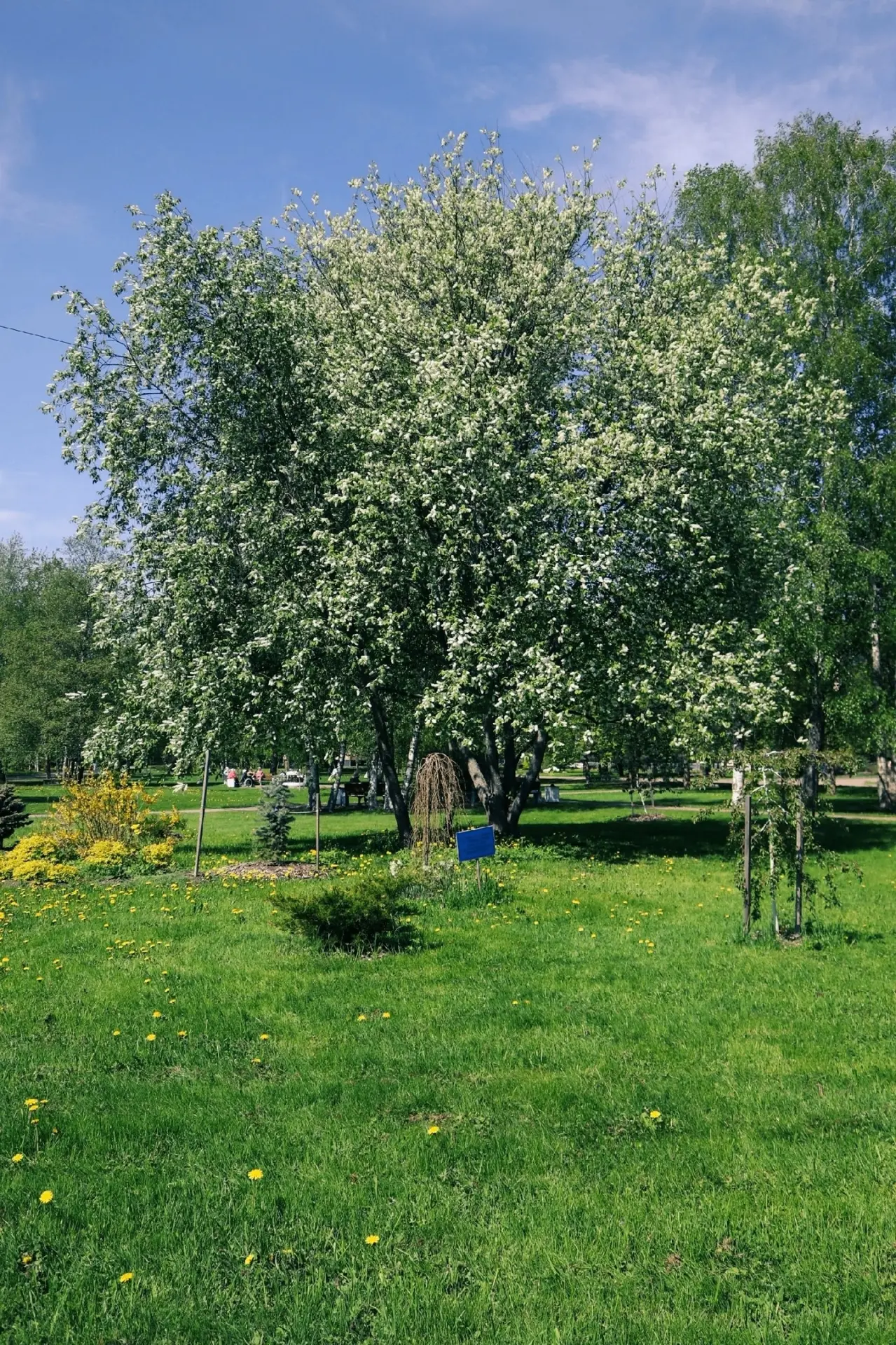 В парке «Зари» горячая майская пора! 🌿