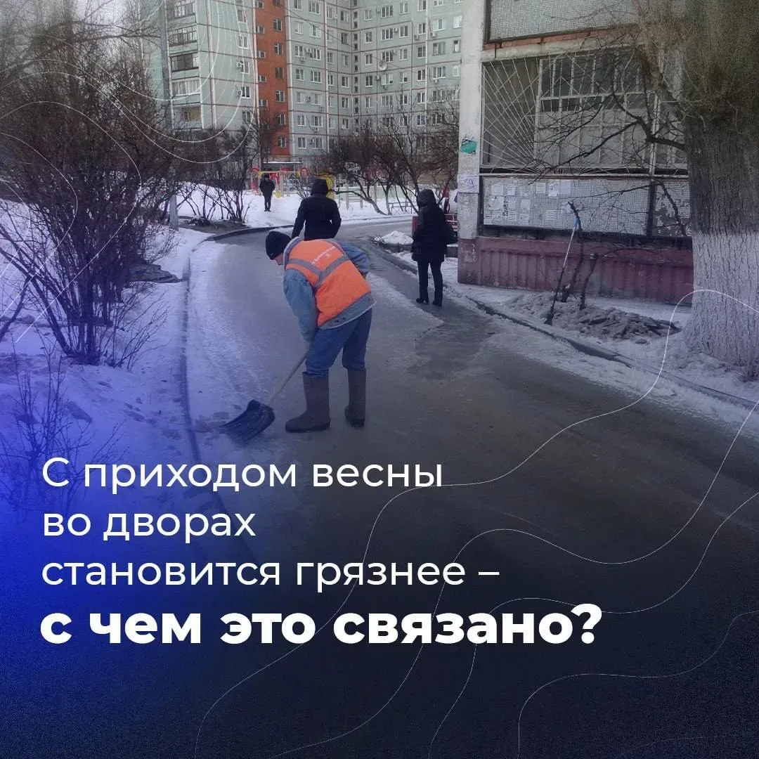 С приходом весны во дворах становится грязнее – с чем это связано?