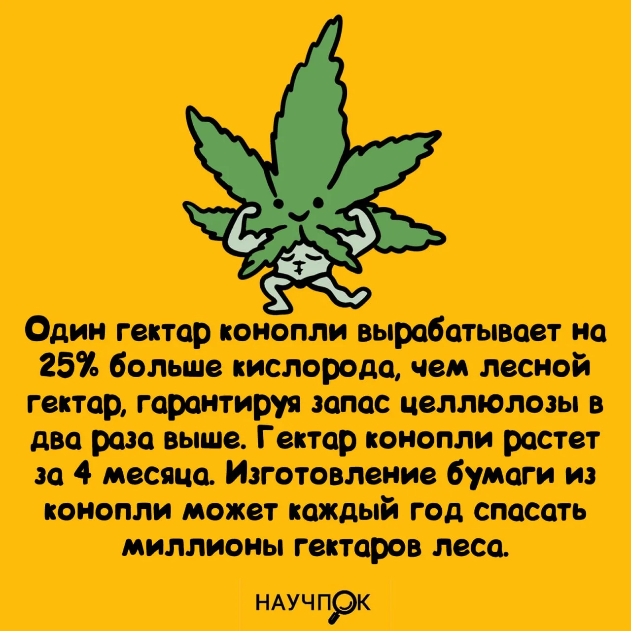 Научпок | Подписаться