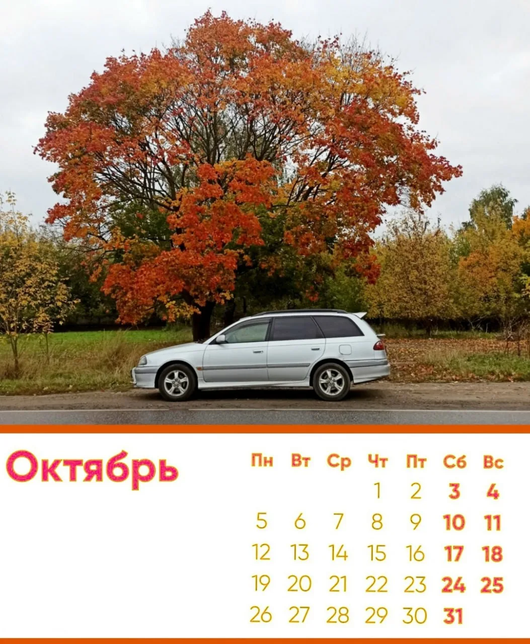Просто дерево красивое в Дубровицах