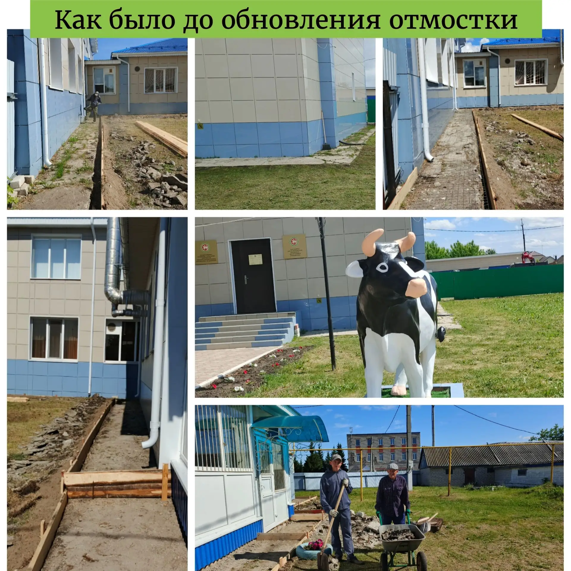 Обновление здания ГБУ «Апастовское РГВО» своими силами: когда за дело берётся настоящая...