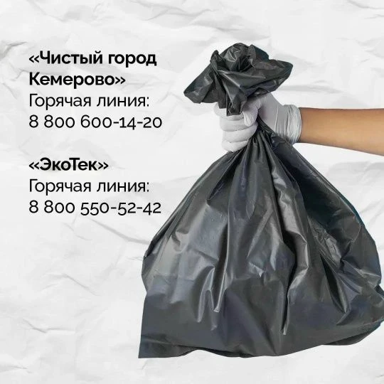 В Кузбассе за обращение с ТКО отвечают два региональных оператора: «Чистый Город Кемеро...
