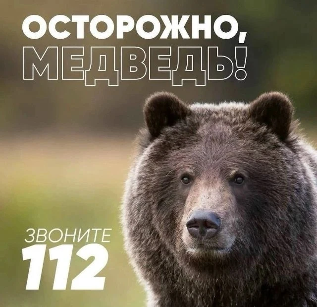 ⚠️ ВНИМАНИЕ, ЖИТЕЛИ КУЙТУНСКОГО РАЙОНА!