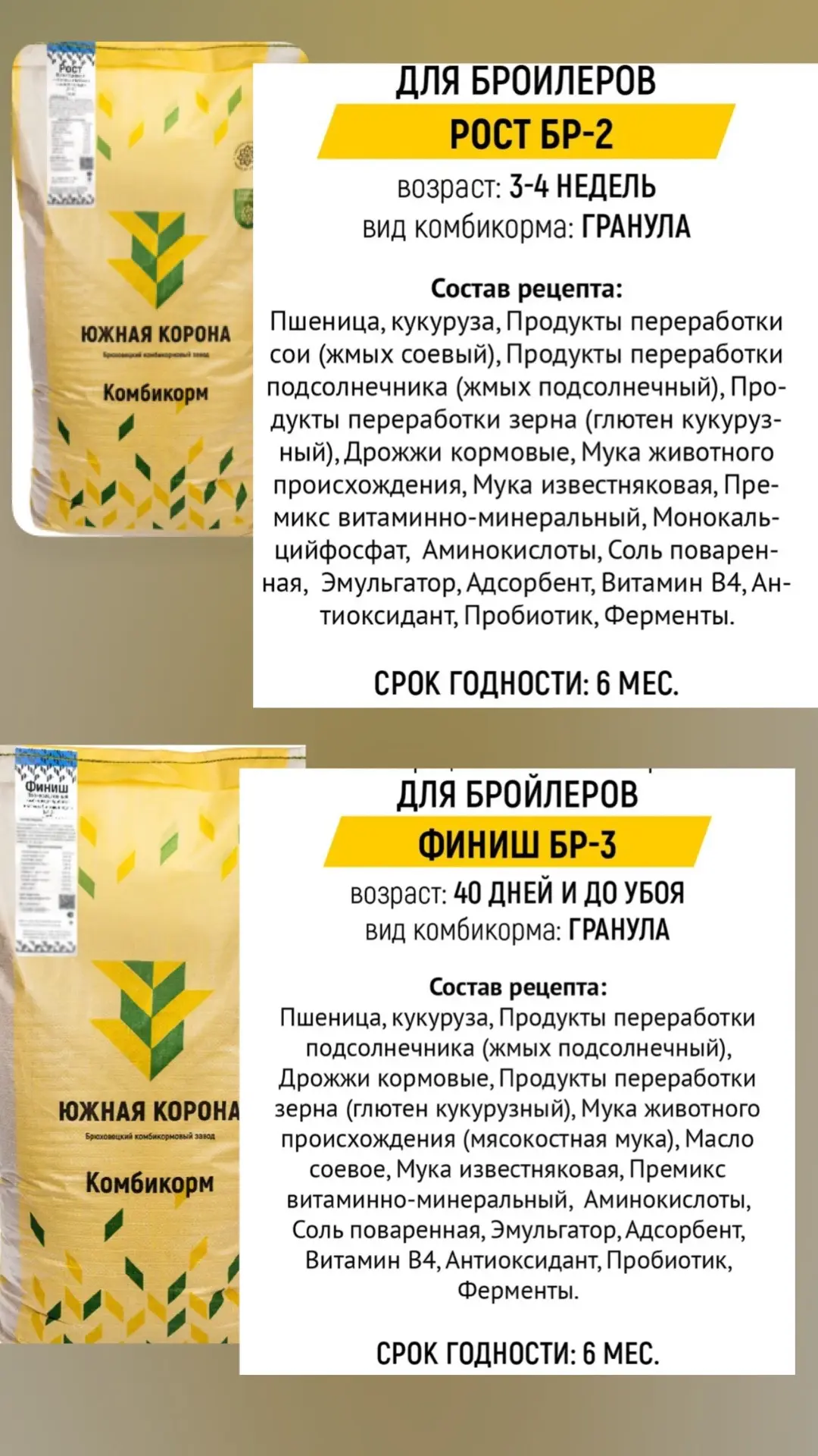 Уже несколько лет весной мы выращиваем цветных бройлеров. 🐥