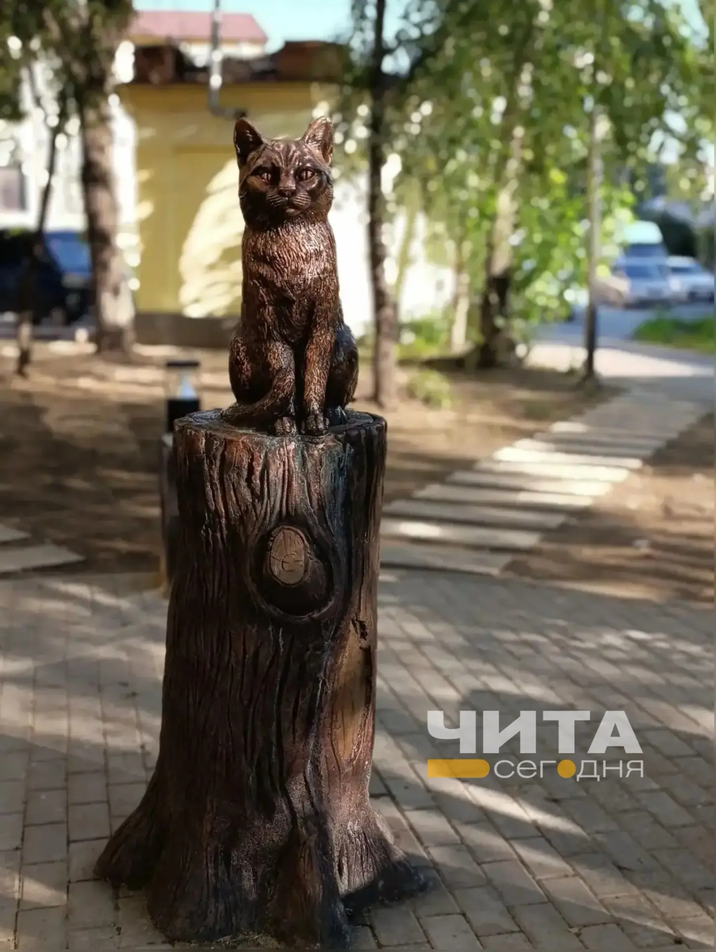 В новом сквере на Амурской поселился счастливый кот